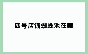 四号店铺蜘蛛池在哪