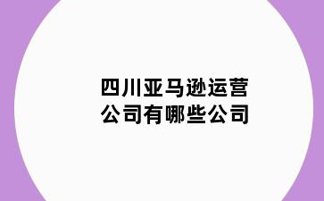 四川亚马逊运营公司有哪些公司