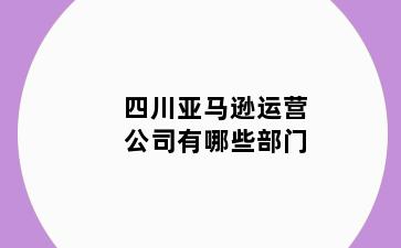 四川亚马逊运营公司有哪些部门