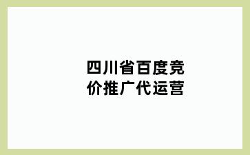 四川省百度竞价推广代运营