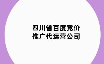 四川省百度竞价推广代运营公司