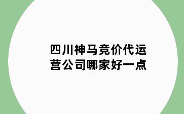 四川神马竞价代运营公司哪家好一点