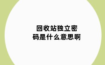 回收站独立密码是什么意思啊