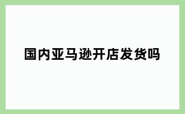 国内亚马逊开店发货吗
