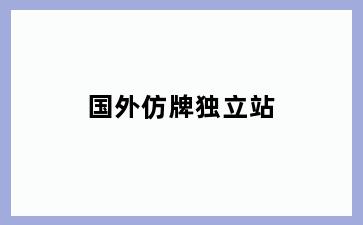 国外仿牌独立站
