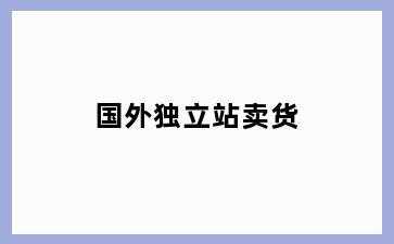 国外独立站卖货