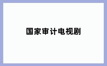 国家审计电视剧