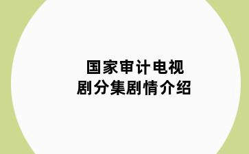 国家审计电视剧分集剧情介绍