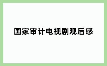 国家审计电视剧观后感