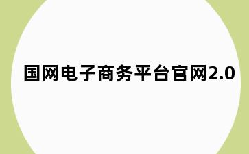 国网电子商务平台官网2.0