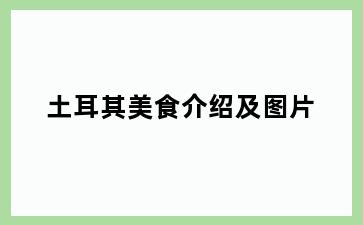土耳其美食介绍及图片