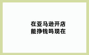 在亚马逊开店能挣钱吗现在