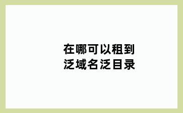 在哪可以租到泛域名泛目录