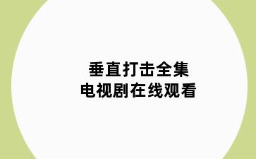 垂直打击全集电视剧在线观看