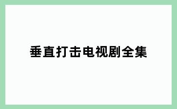 垂直打击电视剧全集