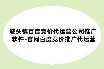 城头镇百度竞价代运营公司推广软件-官网百度竞价推广代运营
