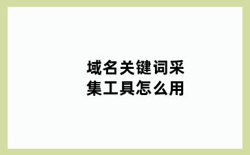 域名关键词采集工具怎么用