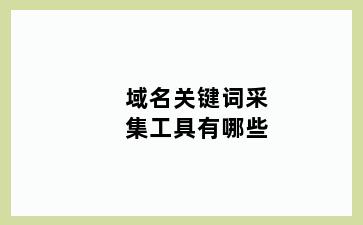 域名关键词采集工具有哪些