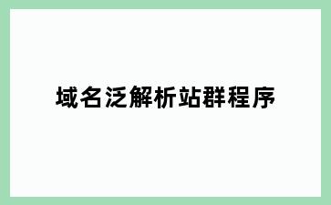 域名泛解析站群程序