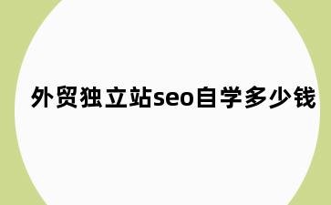外贸独立站seo自学多少钱