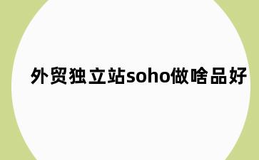 外贸独立站soho做啥品好