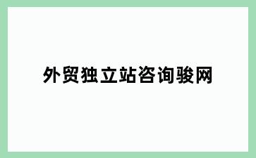 外贸独立站咨询骏网
