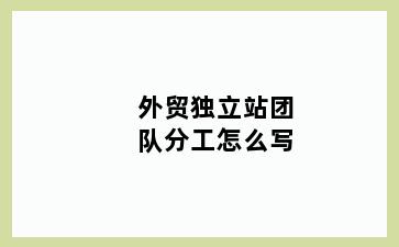 外贸独立站团队分工怎么写