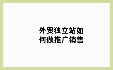 外贸独立站如何做推广销售