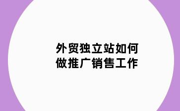 外贸独立站如何做推广销售工作