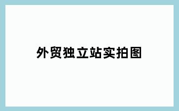 外贸独立站实拍图