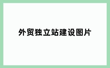 外贸独立站建设图片