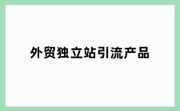 外贸独立站引流产品