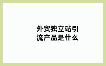 外贸独立站引流产品是什么