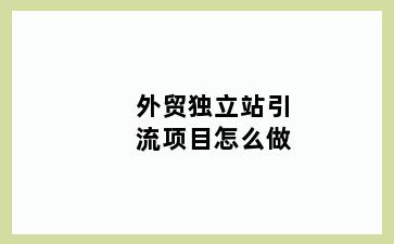 外贸独立站引流项目怎么做