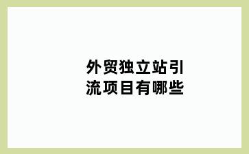 外贸独立站引流项目有哪些