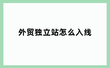 外贸独立站怎么入线