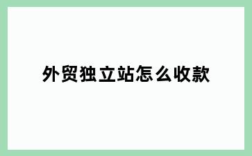 外贸独立站怎么收款