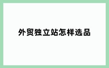 外贸独立站怎样选品