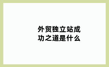 外贸独立站成功之道是什么