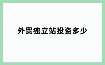 外贸独立站投资多少