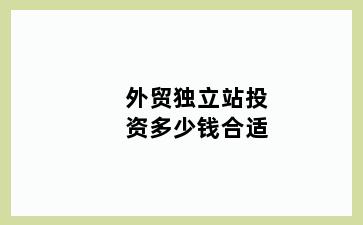 外贸独立站投资多少钱合适