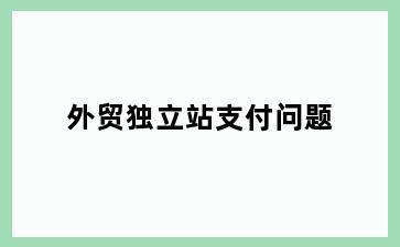 外贸独立站支付问题