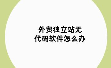 外贸独立站无代码软件怎么办