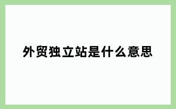 外贸独立站是什么意思