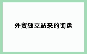 外贸独立站来的询盘