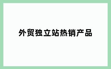 外贸独立站热销产品