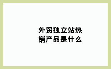 外贸独立站热销产品是什么