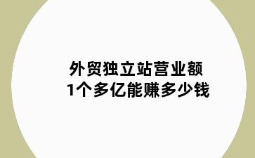 外贸独立站营业额1个多亿能赚多少钱