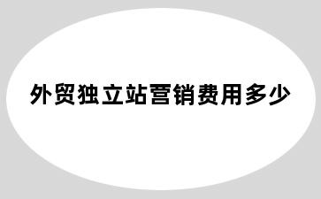 外贸独立站营销费用多少