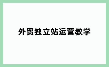 外贸独立站运营教学